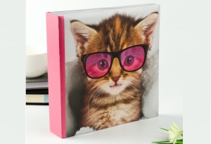 Фотоальбом на 200 фото 10х15 см "Котёнок в очках" 41-1646